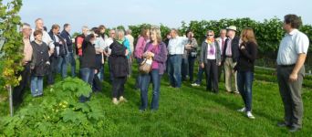 Bodenseeausflug 28./29.09.2013